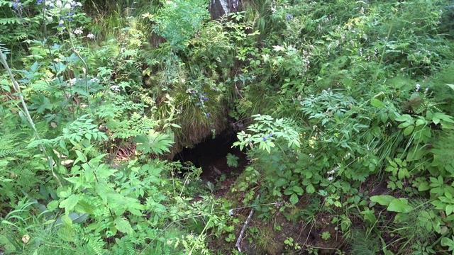 Грот и Егорьевская пещера смотреть онлайн