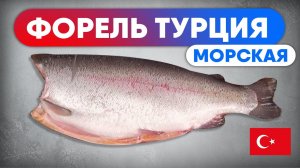 ОБЗОР. Морская ФОРЕЛЬ из Турции. Как выбрать красную рыбу? Обзор лосося от шеф-повара Сергея Лигай