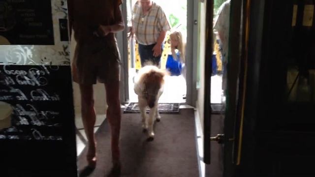 Маленькое чудо в салоне красоты))) смотреть онлайн