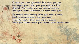 William Shakespeare - Sonnet 13 - Read by Hong Nguyen