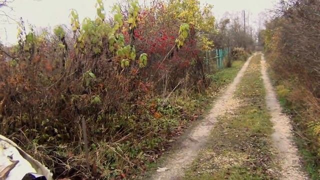Большой обзор нашего садового товарищества. Тестирую новый монопод штатив для камеры. Купили сад 21