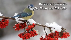 30.12.2014 Смысл жизни (От Матфея 5:1–16)