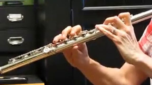 Handmade Custom Powell Flute (Used) - Upper Register смотреть онлайн