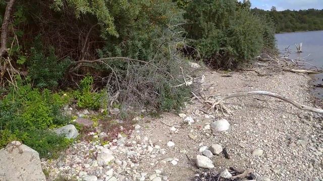Поселок Синявино, озеро Синявинское.