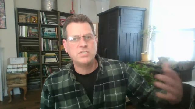 Fertilizers N, P, & K, Compost & Manures, Spring Feeding, Dig v No Dig: Impromptu Live Ramblings E-