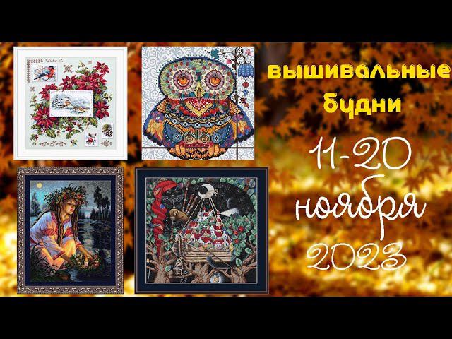 22/2023. 11-20 ноября. Продвижение процессов, эониумы смотреть онлайн