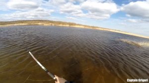 плотва на Ладоге с берега на попловок