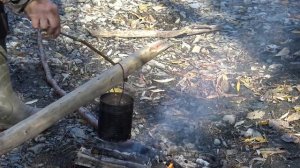 ? Холодная война с медведем Противостояние медведя и человека