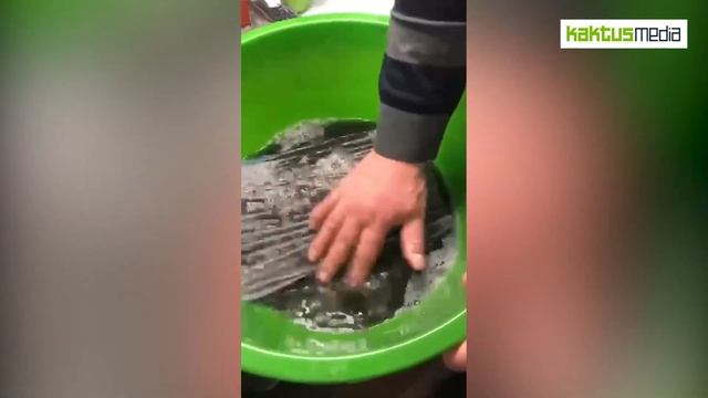 Фильтр очистителя Daikin черный после 2 недель использования смотреть онлайн