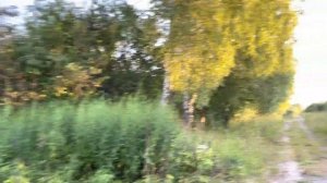 Заброшенная деревня Брежнево Ульяновского района Калужской области