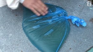 СУПЕР СПОСОБ ПОДКОРМКИ ПЧЕЛ САХАРНЫМ СИРОПОМ НА ЗИМУ. ЛЮБИТЕЛЬСКОЕ ПЧЕЛОВОДСТВО
