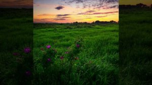 Земля Матушка №1