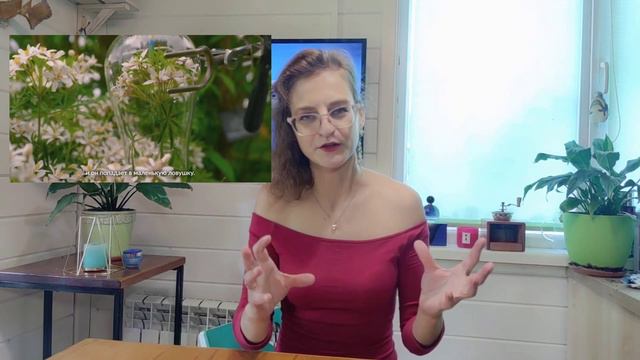 Парфюмерная кругосветка. Как парфюмеры научились передавать аромат немых цветов