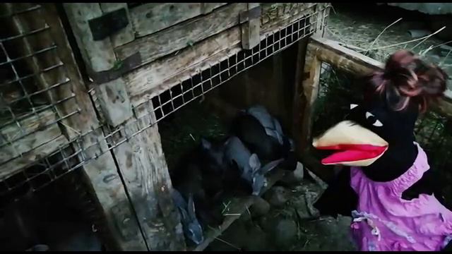 ГОРОД ЖИВОТНЫХ смотреть онлайн