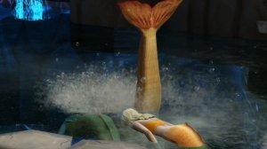 Charlotte Mermaid Transformation | H2O just add water - The Sims 4