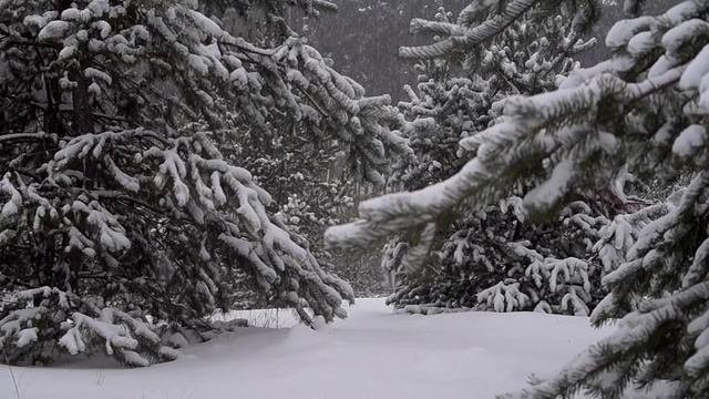 Расслабляющая музыка, чтобы успокоит разум, перестать переживать. Удалите внутренний гнев и грусть.