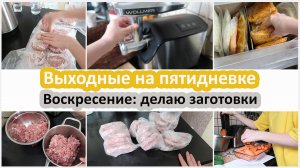 Выходные на пятидневке. Воскресение. Заготовки в морозилку. Новая мясорубка Wollmer M907 Strong Stee