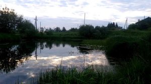 Крупная плотва на удочку !