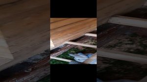 подготовка к консервации