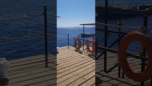 Египет.Красное море🐠Red Sea🌴Риф Оазис Блю Бей 5* 🇪🇬