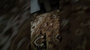 пылесос zelmer aquawelt 1500