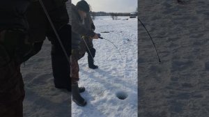 Рыбалка на платном водоеме Форель 02.02.2021