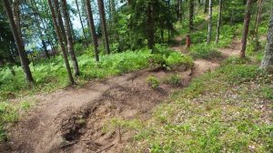 ?Заказник Щучье озеро・?Прогулка с папой・?Зеленогорск・Санкт-Петербург・Питер・СПб・Влог・Алексей Михайло