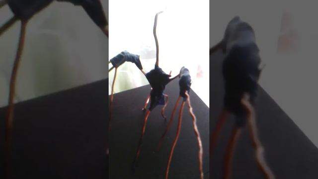 Дракон из глины своими руками часть 1 смотреть онлайн