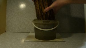 Сушка древесины-кругляка в домашних условиях (на примере дуба)