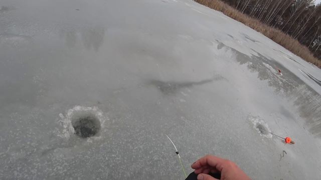 ВЫДЕРЖИТ ЛИ ?!!! ОПАСНЫЙ ПЕРВЫЙ ЛЁД 2021-2022! Зимняя рыбалка на озере. смотреть онлайн