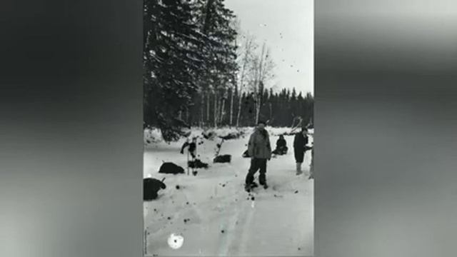 Перевал Дятлова. Фотоплёнка # 5 На Хибино - файлс эта плёнка # 6