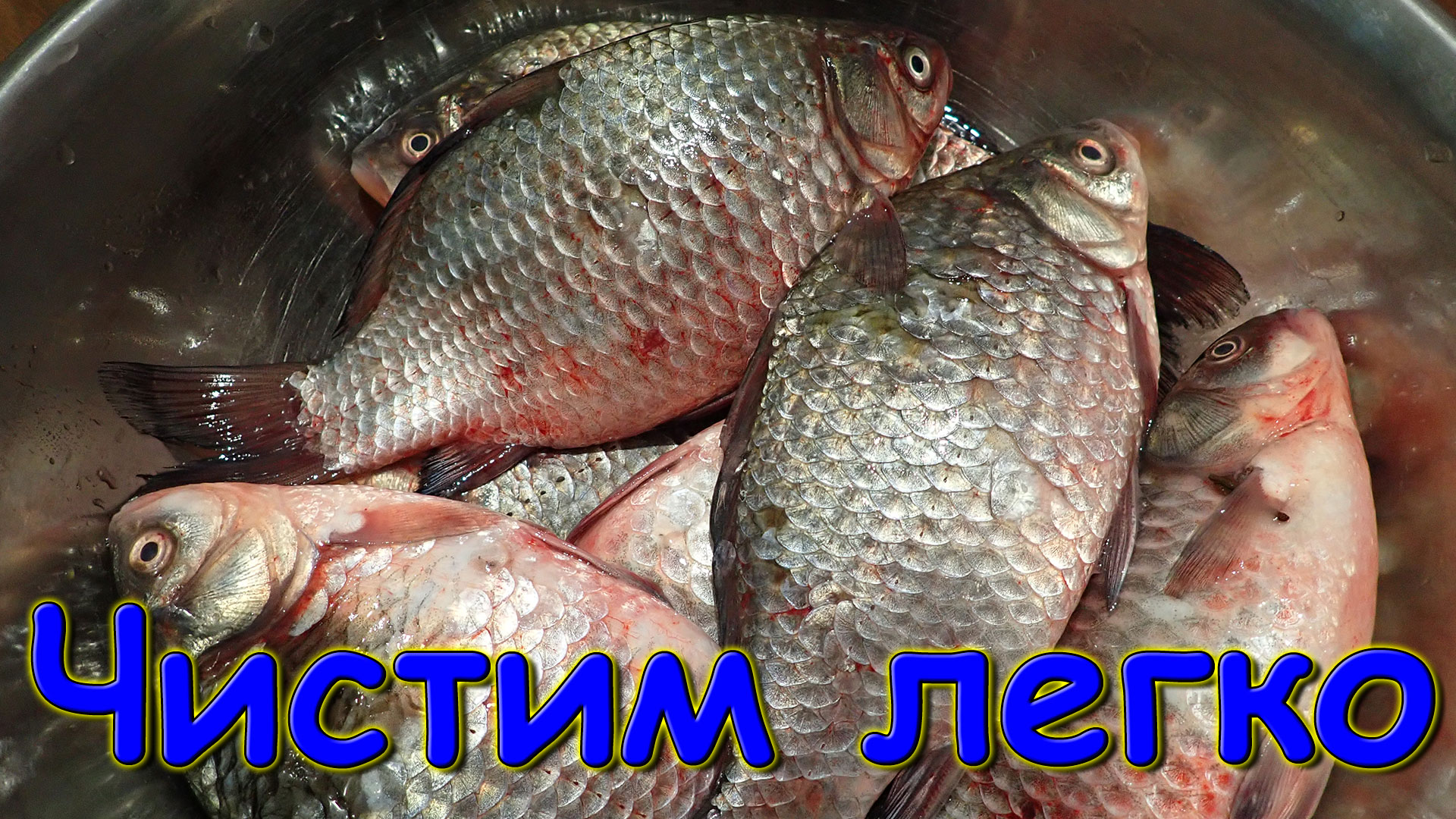 Как легко чистить рыбу с большой и толстой чешуей. Карась и др. рыба. (02.24г.) Семья Бровченко.