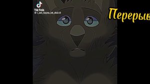 ~{Реакция Синней звезды на Бича}~                         Коты Воители