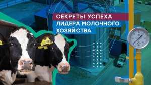 Газификация одного из крупнейших молочных хозяйств в России