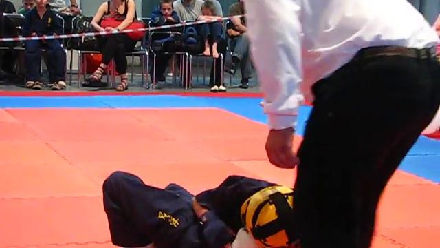 ХОРТИНГ. Чемпионат северного региона Украины. 18-19 мая 2013 года смотреть онлайн