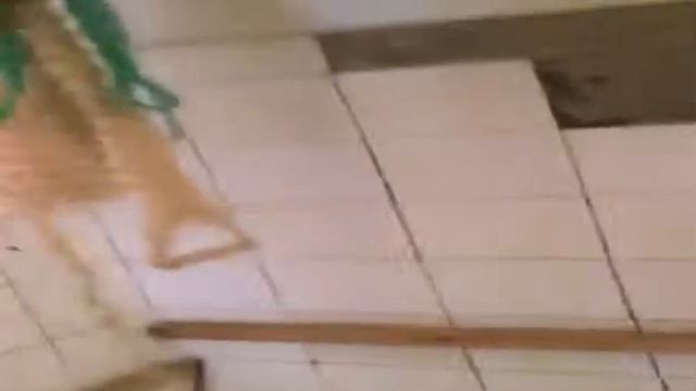 Елене Летучей и не снилось!!!! Гостиница в Рязанской области. Слёзыыыы!!! смотреть онлайн