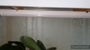 Орхидеи и Подсветка на стеллаже/ КАК крепить светильник/по просьбе зрителей/ 30.07.2020г.