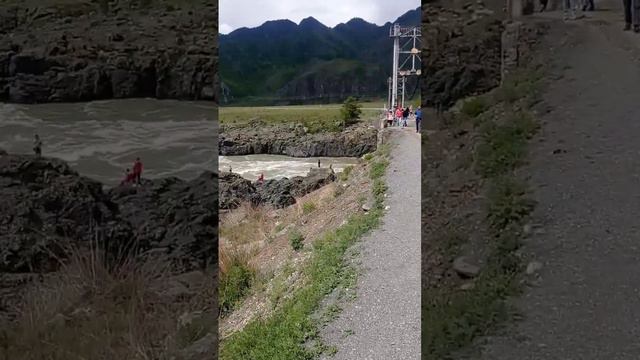 ороктойский мост. #чемал #алтай #горныйалтай #экскурсии смотреть онлайн