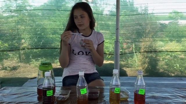 Долина роз / Замок Курисов