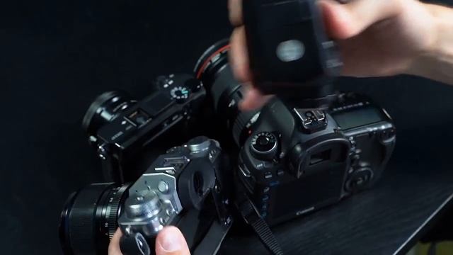 Как устроен фотоаппарат и чем отличается зеркальная фотокамера от беззеркальной