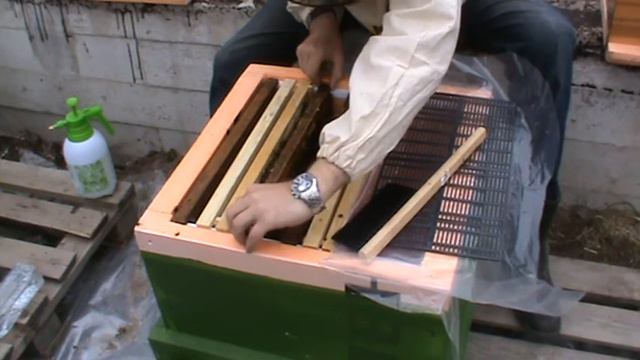 2 ревизия пакета номер 2. Дата 28.05.2017 матка сеет по 2-3 яйца смотреть онлайн