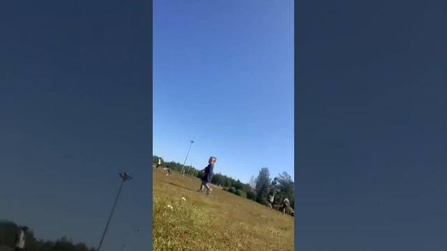 Бультерьер в семье. Опасно ⚠️ ли?
