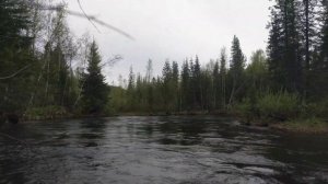 Река "КРОЛ" Красноярский край.