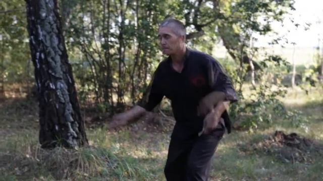 Тренировка в лесу - 1. Облачные движения с когтём каменной птицы смотреть онлайн