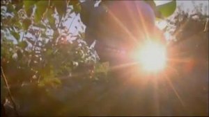 Детское питание Gerber 2 flv