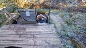 Святой источник путь к здоровью День первый