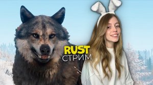 СТРИМ❤️СОЛО на классике! Атмосферное выживание в RUST