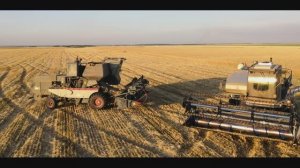 Уборочная. Нива Эффект. Енисей 1200.