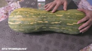 Видео-Обзор тыквы/ Сорт НЕАПОЛИТАНСКИЙ МУСКАТ/ #pumpkin #тыква #обзор #урожай