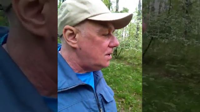 Хризантемы стиха смотреть онлайн